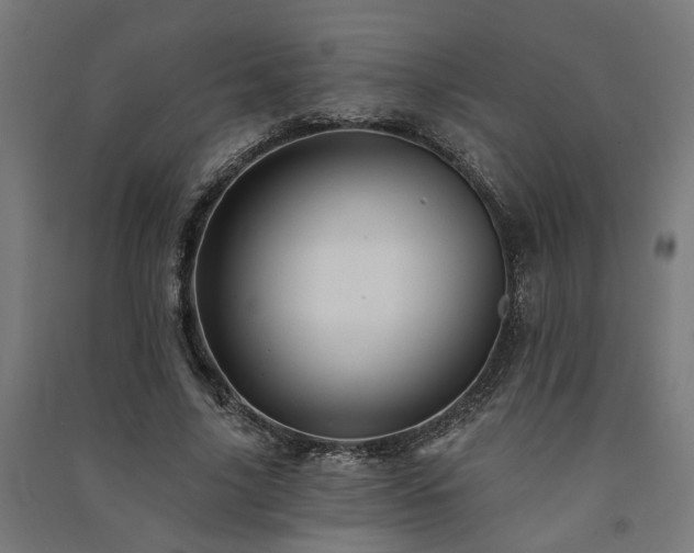 X0000091590635200708201230