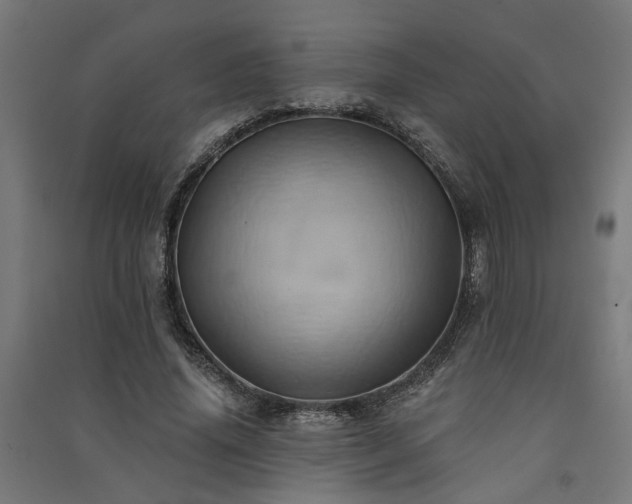X0000091590636200708201230