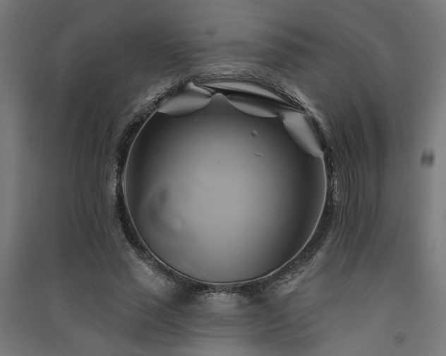 X0000091590637200708201230