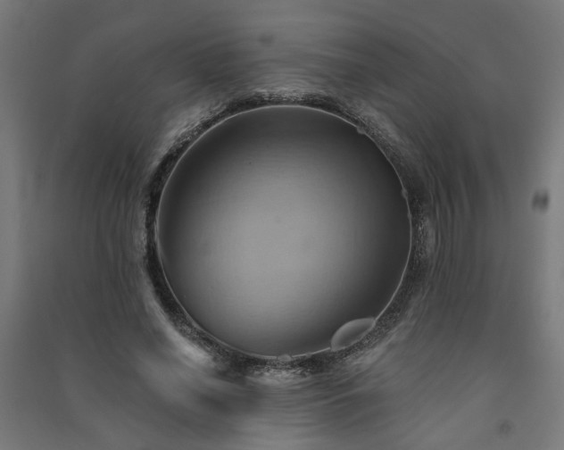 X0000091590638200708201230