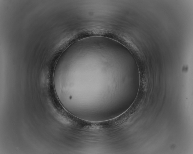 X0000091590639200708201230