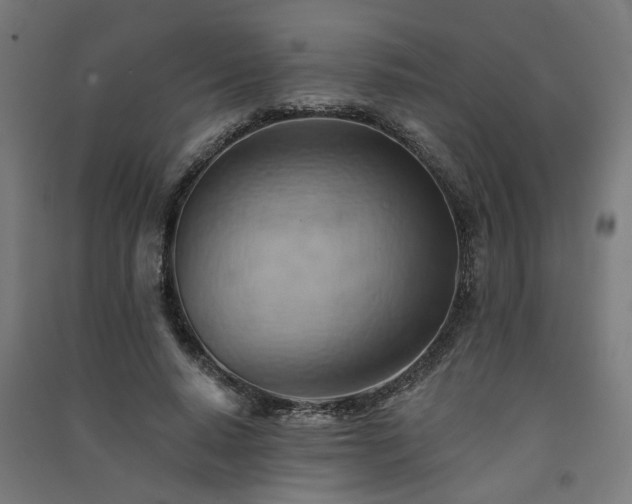 X0000091590640200708201231
