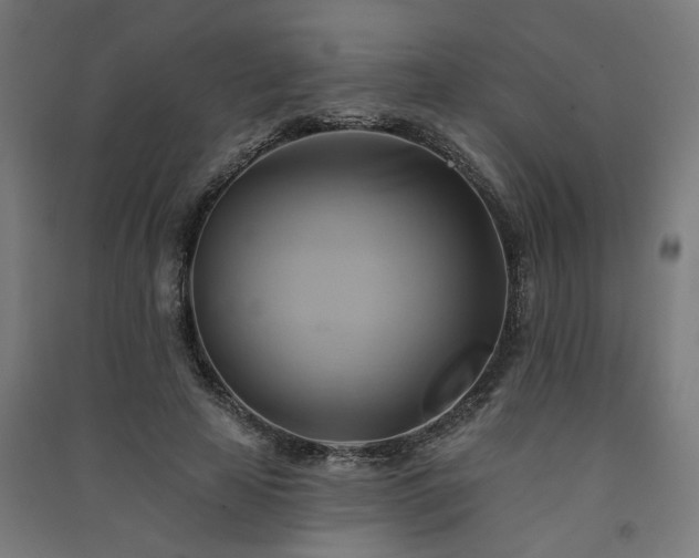 X0000091590641200708201231