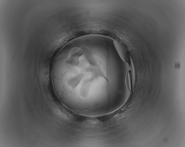 X0000091590642200708201231