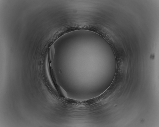 X0000091590643200708201231