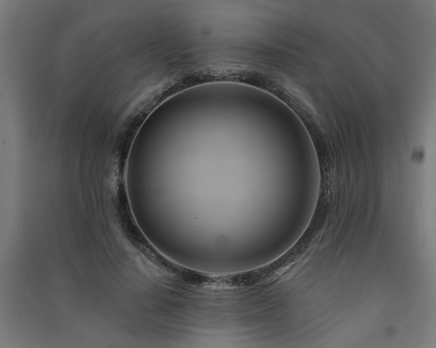 X0000091590644200708201231