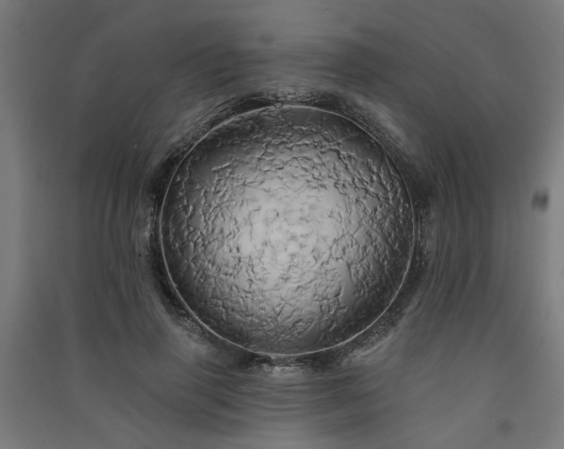 X0000091590645200708201231