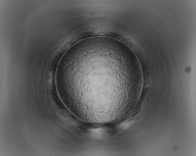 X0000091590646200708201231