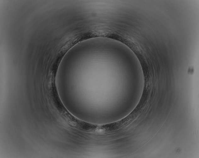 X0000091590647200708201231