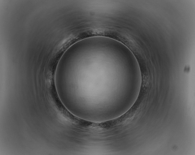 X0000091590648200708201231