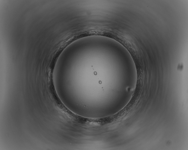 X0000091590649200708201231