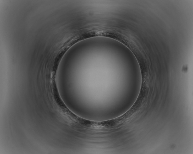 X0000091590650200708201231