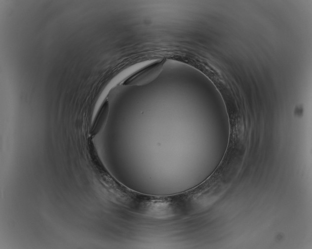 X0000091590651200708201231