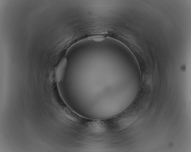 X0000091590652200708201231