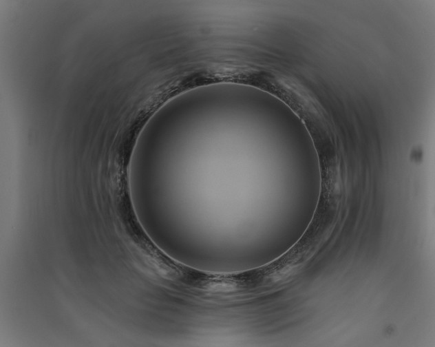 X0000091590653200708201231