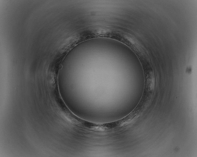 X0000091590654200708201231