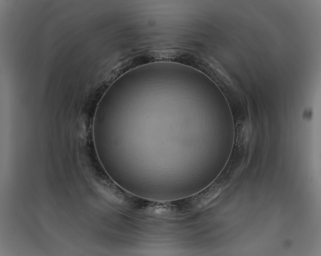 X0000091590655200708201231