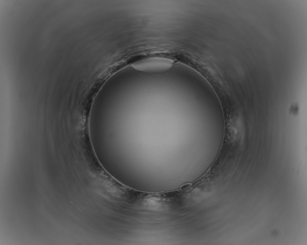 X0000091590657200708201231