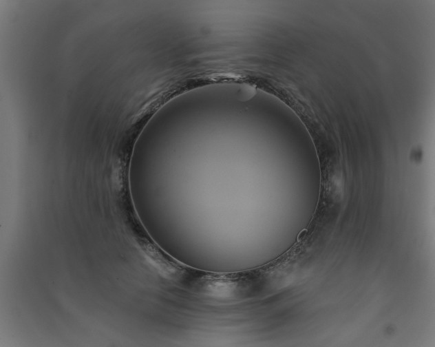 X0000091590658200708201231