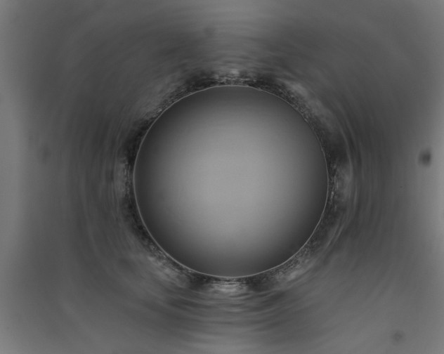 X0000091590659200708201231