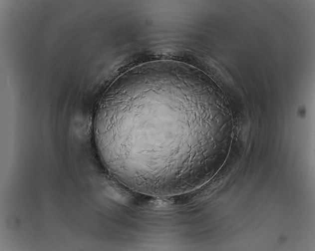 X0000091590660200708201231