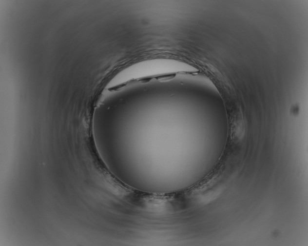 X0000091590661200708201231