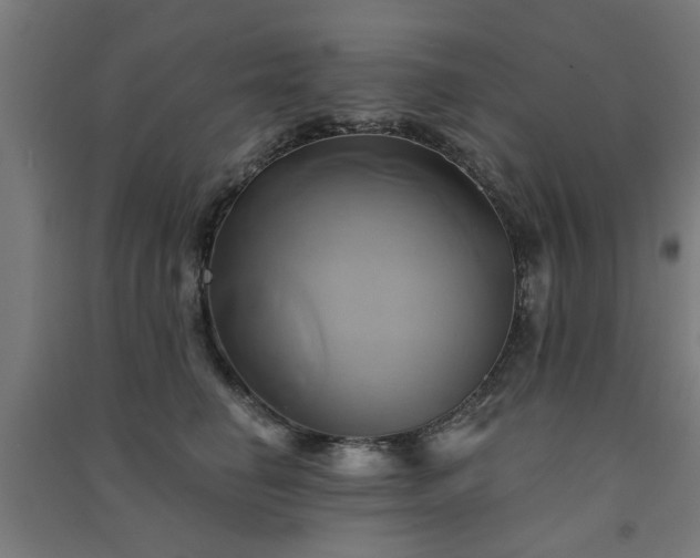 X0000091590662200708201231