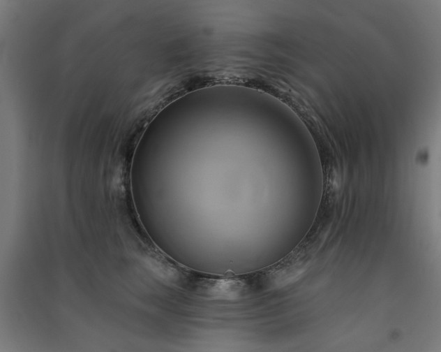 X0000091590663200708201231