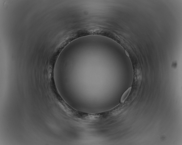 X0000091590664200708201231