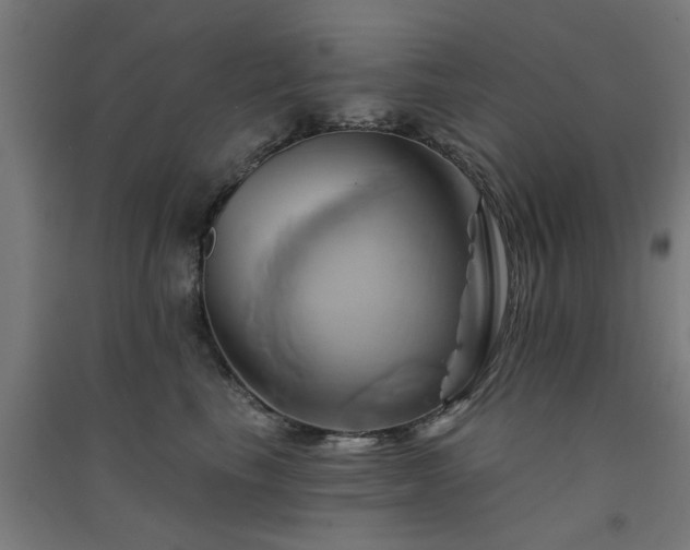 X0000091590665200708201231