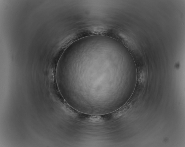 X0000091590666200708201231