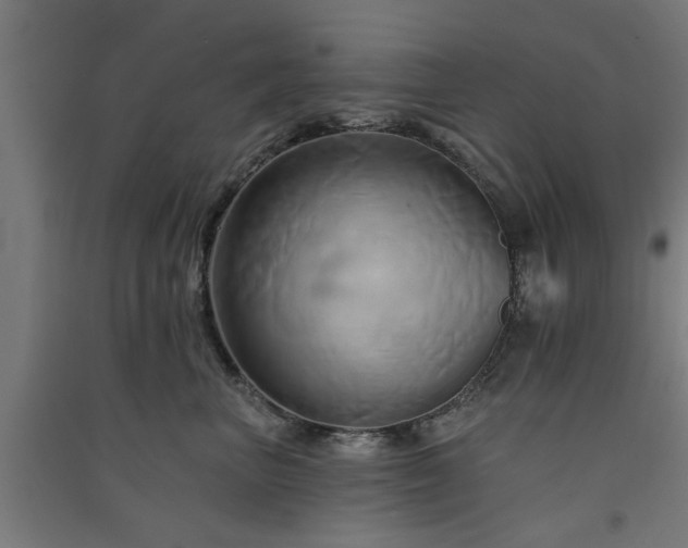 X0000091590667200708201231