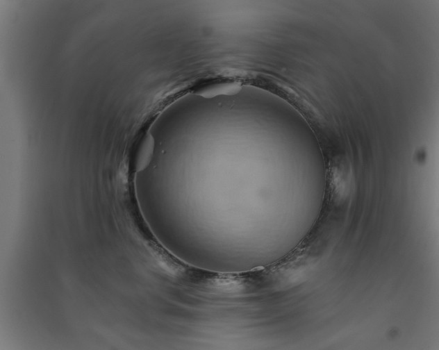 X0000091590668200708201231