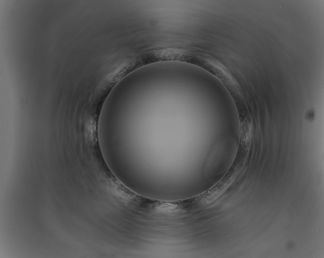 X0000091590669200708201231