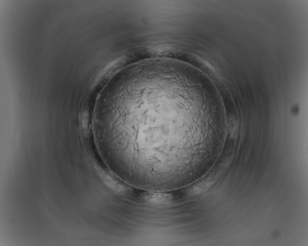 X0000091590670200708201231