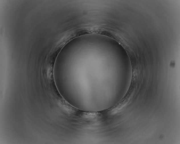 X0000091590671200708201231