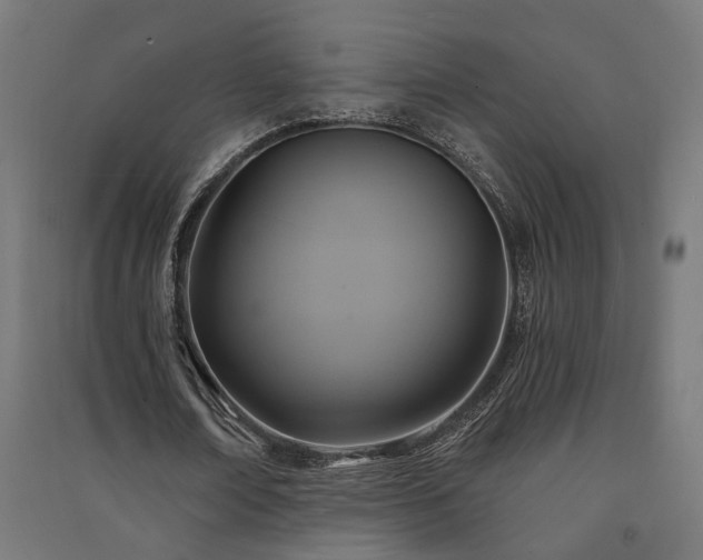 X0000091590674200708201230