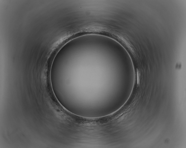 X0000091590675200708201230