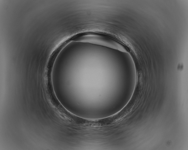X0000091590676200708201230