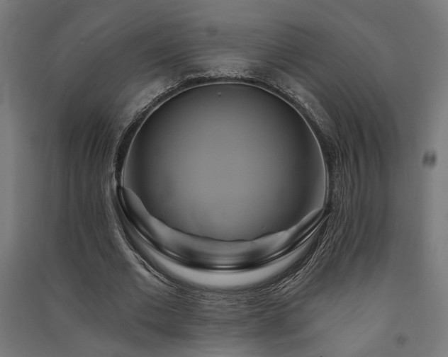 X0000091590677200708201230