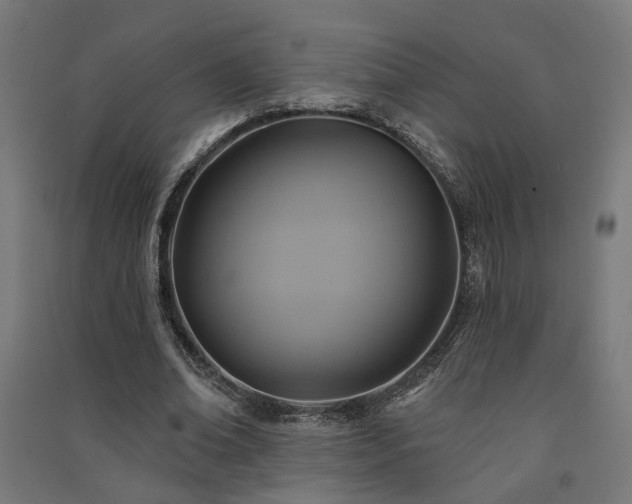 X0000091590678200708201230