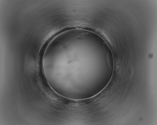 X0000091590679200708201230