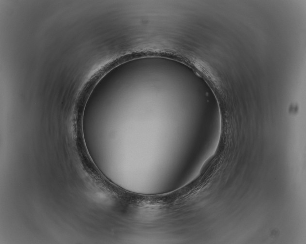 X0000091590680200708201230
