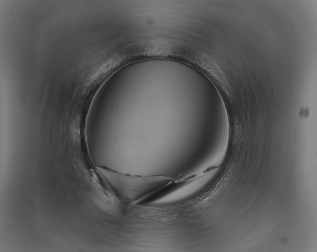 X0000091590681200708201230
