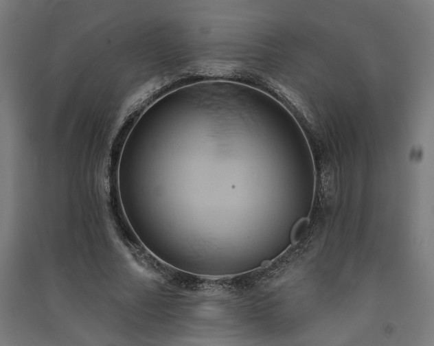 X0000091590682200708201230