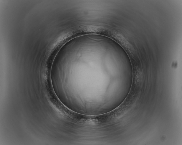 X0000091590683200708201230