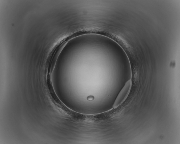 X0000091590684200708201230