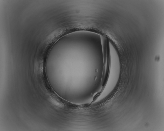 X0000091590685200708201230