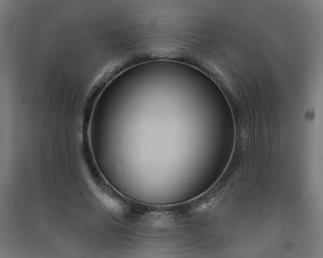 X0000091590686200708201230