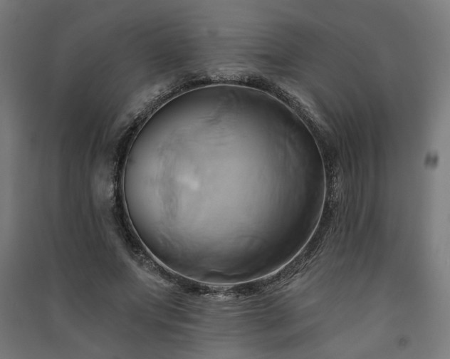 X0000091590687200708201230